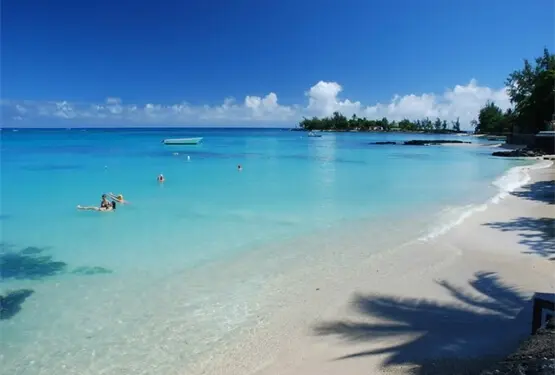 Escapade romantique à Tenerife : Rencontres amoureuses sous le soleil - Agence matrimoniale Unicis